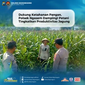Dukung Ketahanan Pangan, Polsek Ngasem Dampingi Petani Tingkatkan Produktivitas Jagung