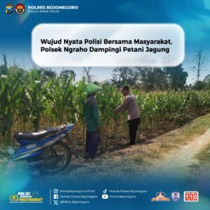 Wujud Nyata Polisi Bersama Masyarakat, Polsek Ngraho Dampingi Petani Jagung